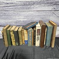 Full grouping of 17 vintage hardcover books standing upright