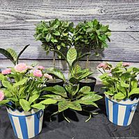 Group shot of all six artificial plants