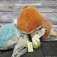 Set of three mushroom pillows, colors visible, tags attached