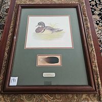 Front view of framed wood duck print with feather and frame