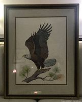 Full view of framed eagle print