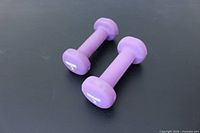 Top view of both 2 lb purple Weider dumbbells