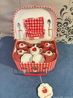 open carry case showing full tea set layout