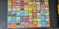 Full spread of 50 Pokémon cards laid out in 8x7 grid showing card fronts and varieties