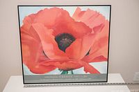 Front view of framed Georgia O'Keeffe poppy poster