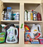 Open cabinet showing majority of detergents and cleaners