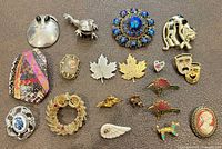 Group shot of all brooches and pins