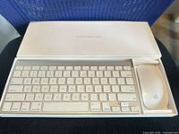 Tray with Apple Magic Keyboard and Magic Mouse in original box