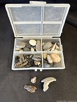 overall view of box open showing contents