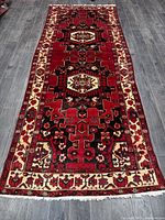 Full view of entire Hamadan runner rug showing design and fringe