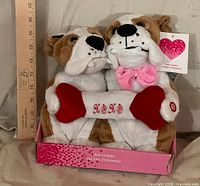 Front view of plush bulldog couple in box with ruler for scale