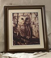 Front view of framed owl picture showing image, frame and mat