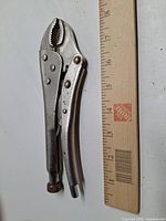 Full view of curved-jaw locking pliers beside ruler for scale