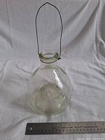 Full view of clear glass wasp trap beside ruler for scale