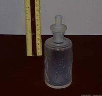 Full view of bottle with stopper beside ruler showing height
