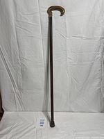 Full view of wooden cane showing overall length and proportions