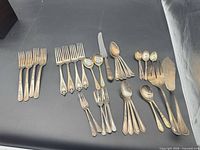 All flatware pieces arranged for count and pattern view