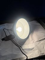 Pendant lit up showing white interior and bulb