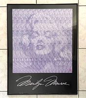 Full view of framed Marilyn Monroe 3-D Magic Eye poster