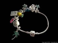 Entire bracelet laid flat showing all charms