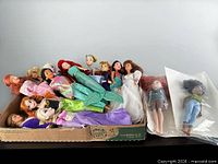 All fifteen dolls together in cardboard tray with two bagged toddler dolls