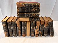 Front view of all 15 volumes showing spines and leather deterioration