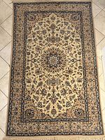 Full view of rug showing overall pattern and fringe