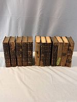 Front view of all 12 volumes standing upright showing spines