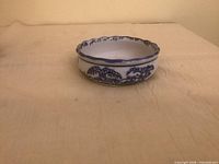 Dish frontal view showing overall form and size