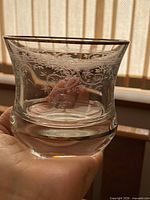 Single glass close-up showing etched pattern and silver rim