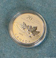 Obverse side showing $20 denomination, maple leaf design, year 2012, purity .9999, in capsule