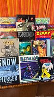 Full lot showing thirteen graphic novels on stand