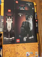 Flattened LEGO Ideas Tuxedo Cat 21349 box