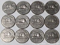 All twelve Canadian 5-cent coins arranged in three rows