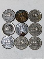 Overall view of all nine coins in 3×3 layout