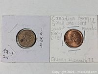 Both 1-cent coins side by side in their flips