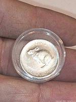 Rabbit reverse side of 1967 Canadian 5-cent coin in capsule