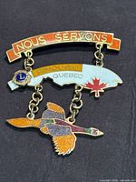 Front view of complete three-part enamel lapel pin