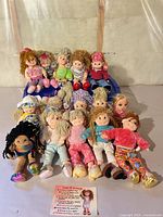 Full group of 15 Ty plush dolls on table showing variety