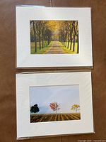 Both matted photographic prints in protective sleeves