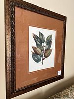 Full view of framed botanical chromolithograph