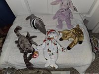 All five Beanie Babies displayed on towel