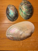 Two exterior abalone shells and one interior shell on wood surface
