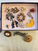 Top view of box with assorted brooches showing variety and quantity