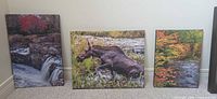 Three small stretched canvas prints leaning against wall: waterfall (portrait), moose (landscape), autumn river (portrait)