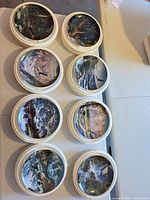 All eight Spirits of the Wild plates with foam rings