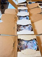 Six boxed plates opened displaying identical designs