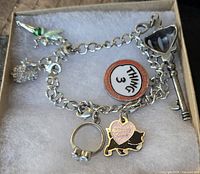 Entire bracelet with all six charms displayed inside box