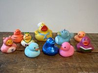 Front view of all ten themed rubber ducks