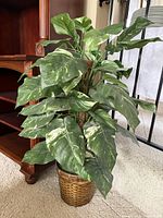 Full view of faux variegated plant in woven basket